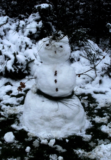 Hollow Ponds Snowman